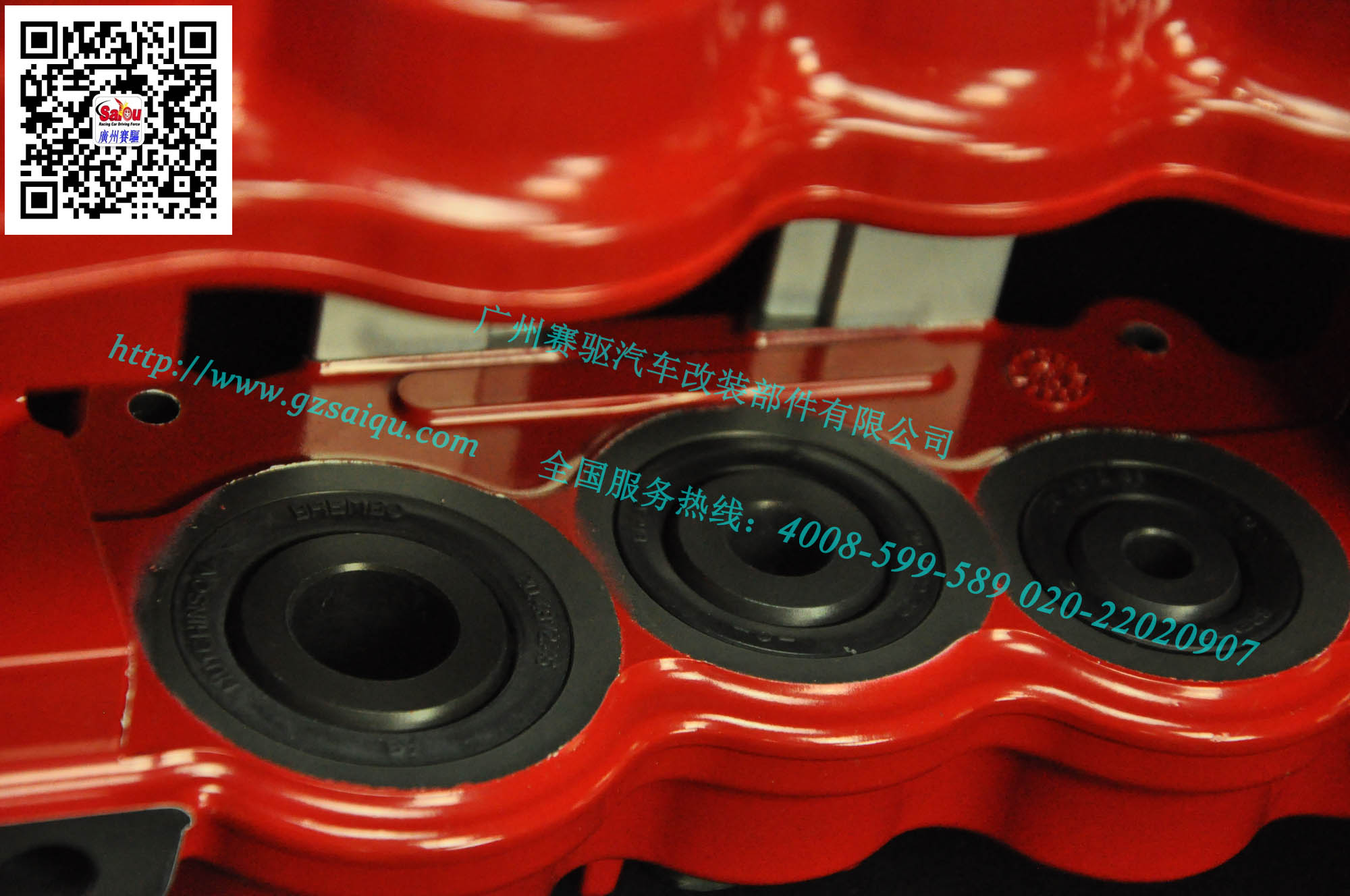 AP8522紅色鮑魚 AP8522紅色鮑魚